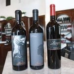 The Winery Review: Leoness Cellars