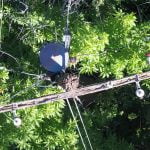 Drones and AI: Future is now for SCE’s aerial inspections