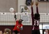 Elsinore girls’ volleyball takes down Paloma Valley in league opener