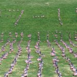 Several thousand volunteers expected for flag walks to honor vets