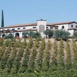 The Winery Review: Cougar Vineyard & Winery