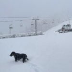 Three California ski resorts open weeks ahead of schedule