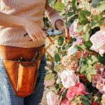 Rose care FUNdamentals for October