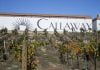 The Winery Review – Callaway Vineyard & Winery