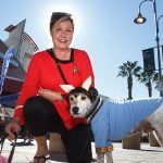 Pets strut their stuff at Paws on the Promenade