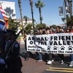 Animal Friends of the Valleys makes 140 pet adoptions during BISSELL Pet Foundation’s ‘Empty the Shelters’ event