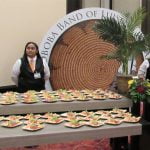 Hundreds step up for Autumn Elegance fundraiser