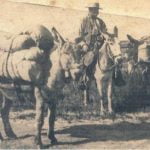 Thankful to reach Temecula