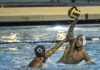 Chaparral water polo edges Elsinore, falls to Camarillo in quarterfinals