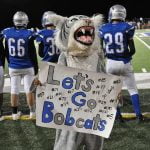 Bobcats come up short in quarterfinals