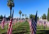 Hemet celebrates Veterans Day with hundreds of flags at Gibbel Park