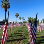 Hemet celebrates Veterans Day with hundreds of flags at Gibbel Park