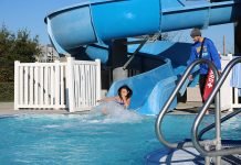 Valley-Wide seeks nonprofits to participate in Polar Plunge