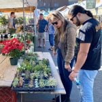 Locals shop Old Town Temecula during Small Business Saturday