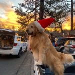 Mayor Max gives Christmas greetings