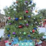 Celebration showcasing dozens of ‘Bejeweled’ trees continues today