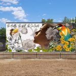 San Jacinto City Council approves urgency ordinance, forwards tentative SB 9 housing plan to Sacramento