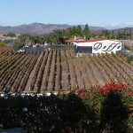 The Winery Review: Doffo Winery