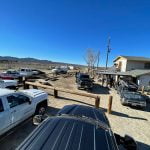 Lions Club tackles neglected gymkhana field in clean up event