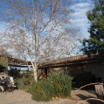 The Winery Review – Palumbo Vineyards and Winery