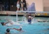 New water polo program looks to gain a local Edge