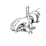 Rose Care FUNdamentals February 2022