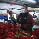 Valentine bouquets grow in Rainbow