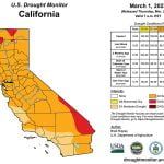 California drought worsens as state records 100-year record-low rainfall