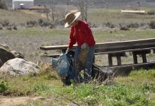 Lions’ second cleanup day makes great progress