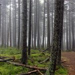 Small wonders of nature are a hiker’s best  friend