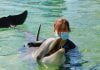 Girl Scouts experience Dolphin Interaction at SeaWorld