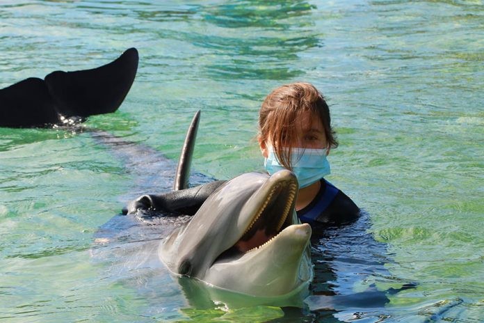 03-25-22-ANZA-Girl Scouts experience Sea World-Cphoto-1