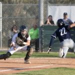 Local high school baseball standings