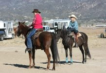 Lions’ first gymkhana slated for April 30