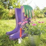 Prepare landscapes for new plants