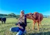 Local photographer focuses on happy cows