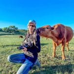 Local photographer focuses on happy cows