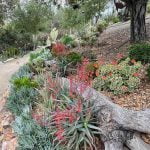 Garden tour and plant sale coming May 14