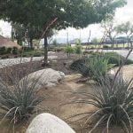 Saving water during a drought begins outdoors and with residents