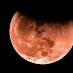 Local photographers capture eclipse