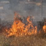 Fire tears through Anza home, stops before extending to brush