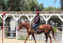 Equestrian continues to ride thanks to community support