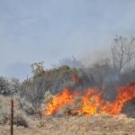 Firefighters get handle on brush fire near Temecula, evacuation warning lifted