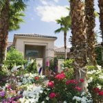 Poisonous plants to avoid around the house