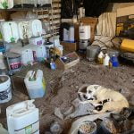 Code Enforcement, other agencies, execute court order at Anza cannabis grow