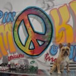 Up in Smoke and Vape shop inspired by family and community