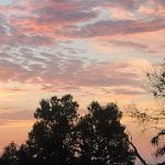 Calm before the storm