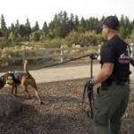 Hemet man who stole pickup and was found by bloodhound sentenced