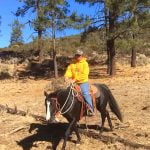 ATHYRIO to host Horsemanship Series