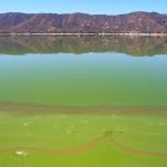 Algae bloom prompts ‘no swimming’ alert at Lake Elsinore